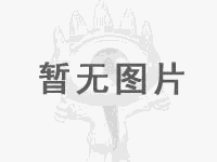 企業、組織、企業 – 国の発展に対するそれらの影響